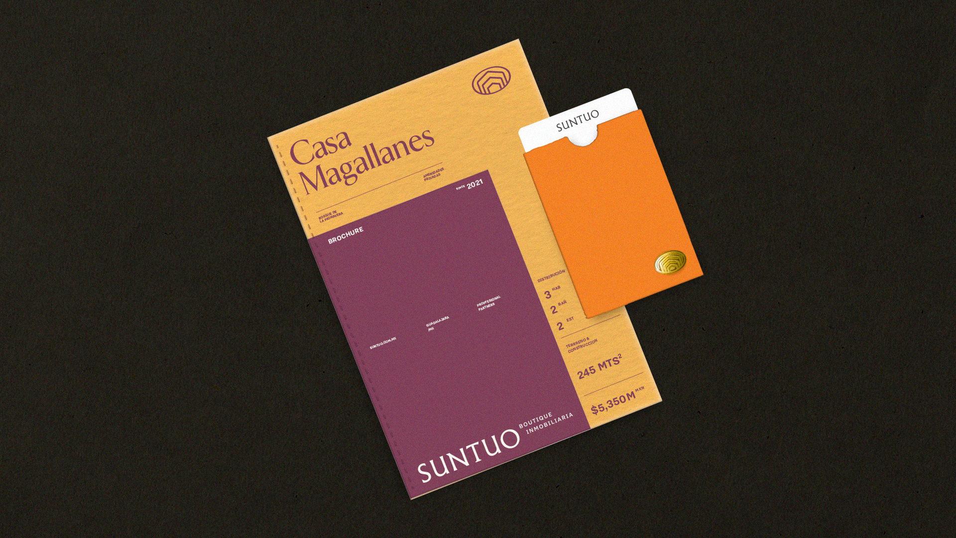 Proyecto Suntuo